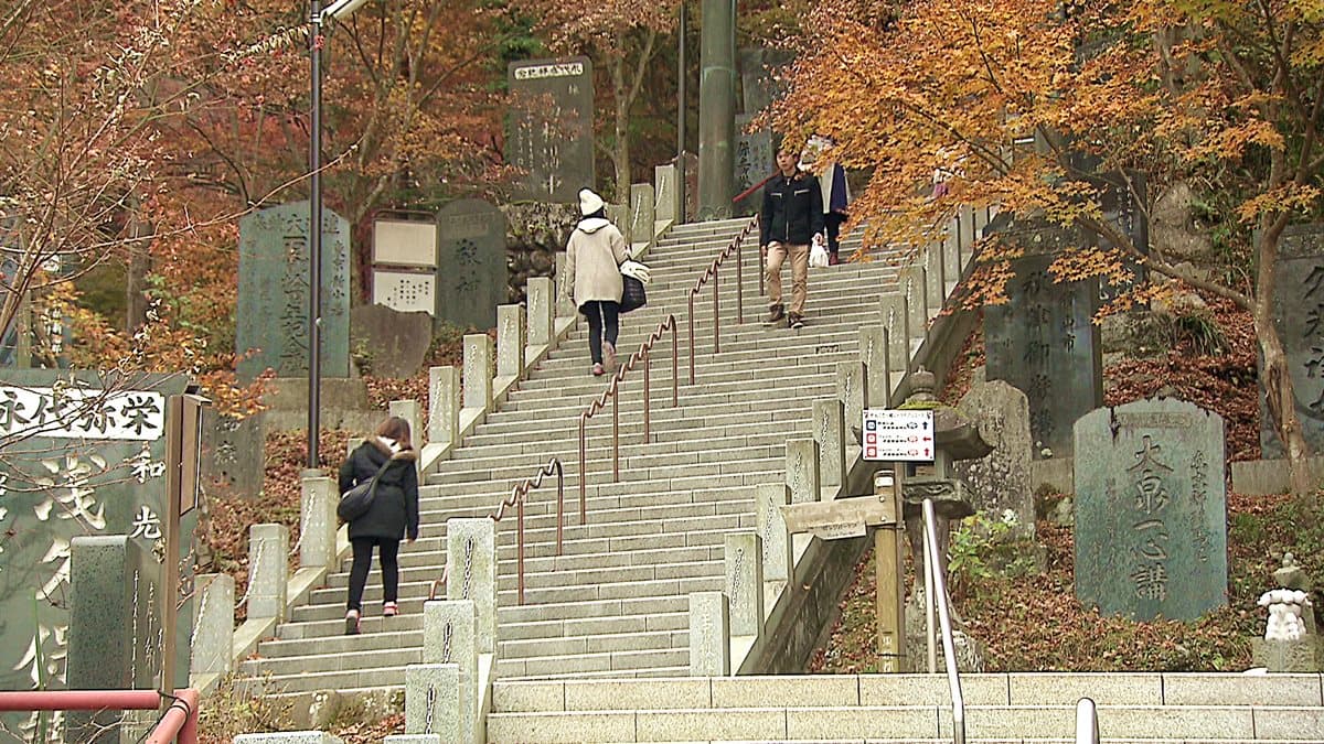 東京人都到這裡補充正能量！神社配楓紅太美了