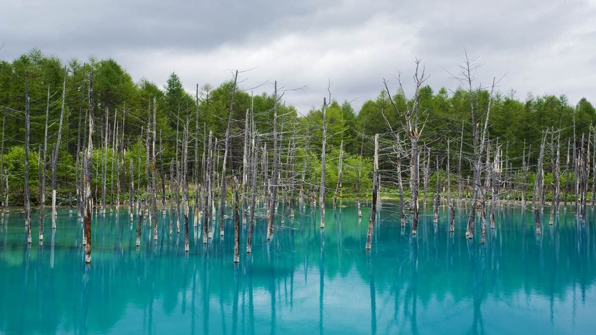 北海道自駕遊 轉進小路遇見意外的美景 北海道自駕遊 轉進小路遇見意外的美景