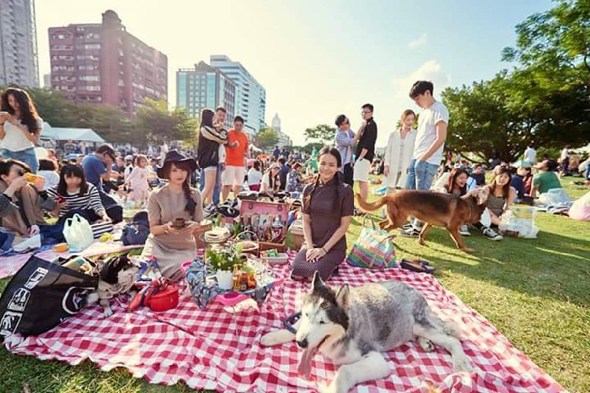 「網紅最會餐酒搭」偷學2招！春天野餐就靠它