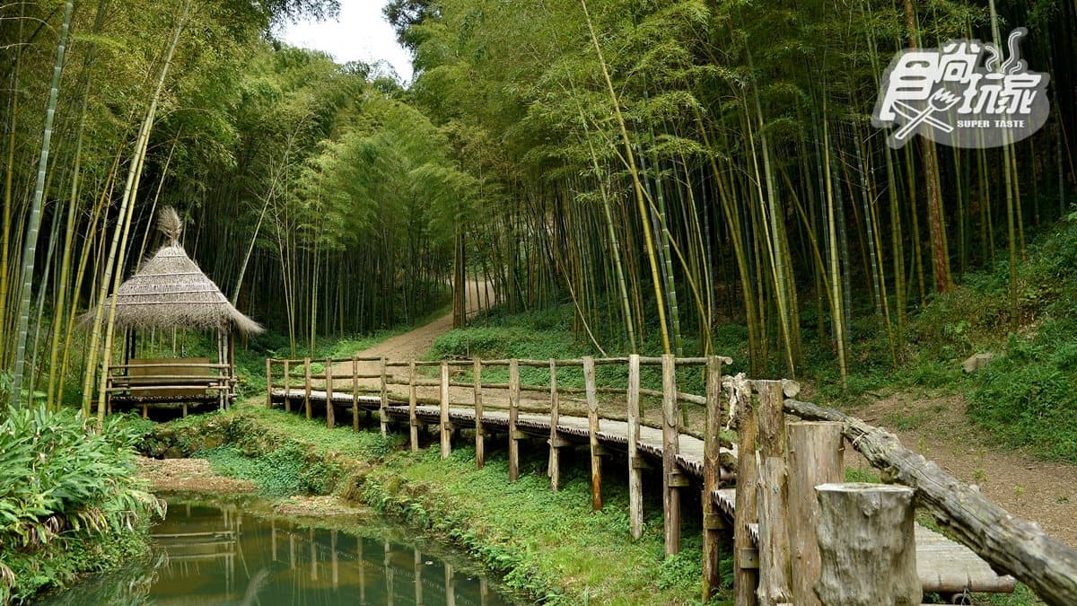 雲林人才知的祕境～根本是《臥虎藏龍》場景重現啊！