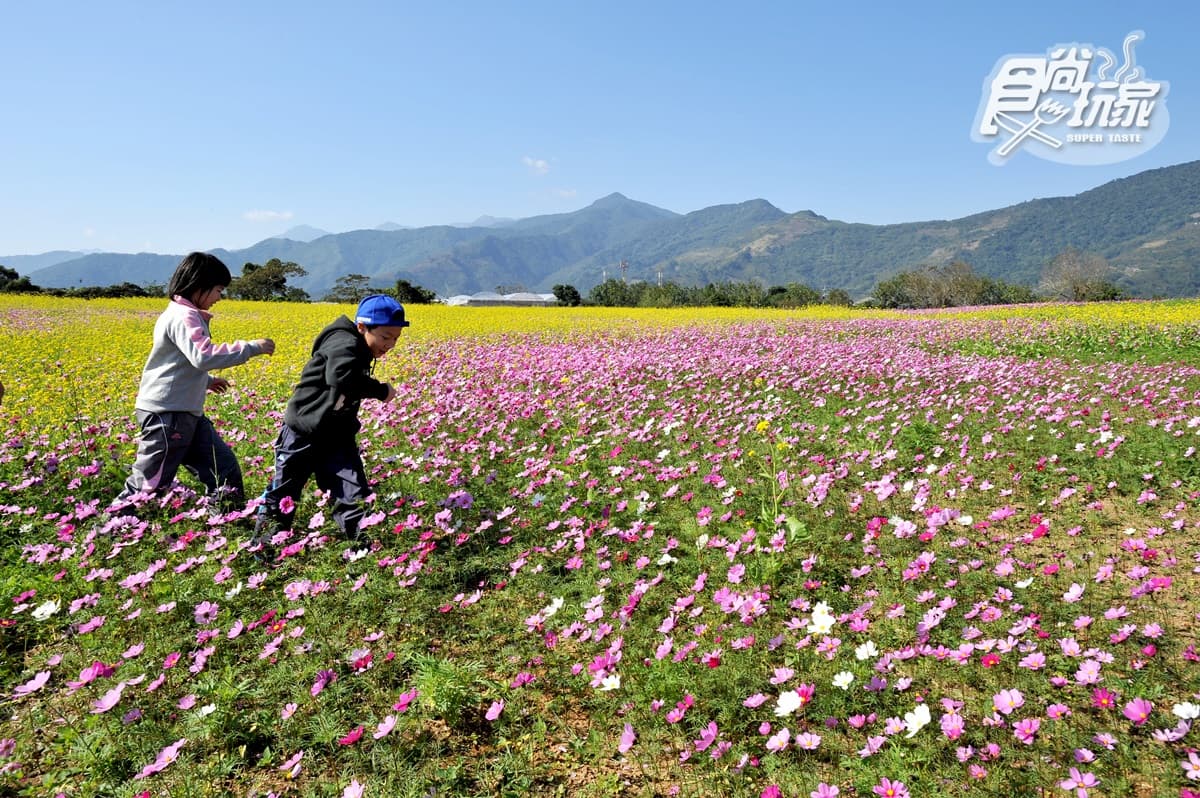 親子連假玩這裡!牧場、農場兒童免費入園 親子連假玩這裡!牧場、農場兒童免費入園