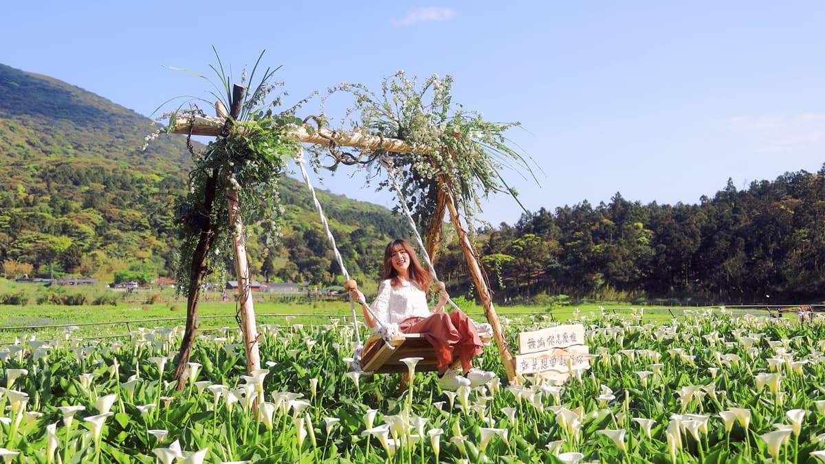 採海芋當網美！12個浪漫打卡熱點全公開
