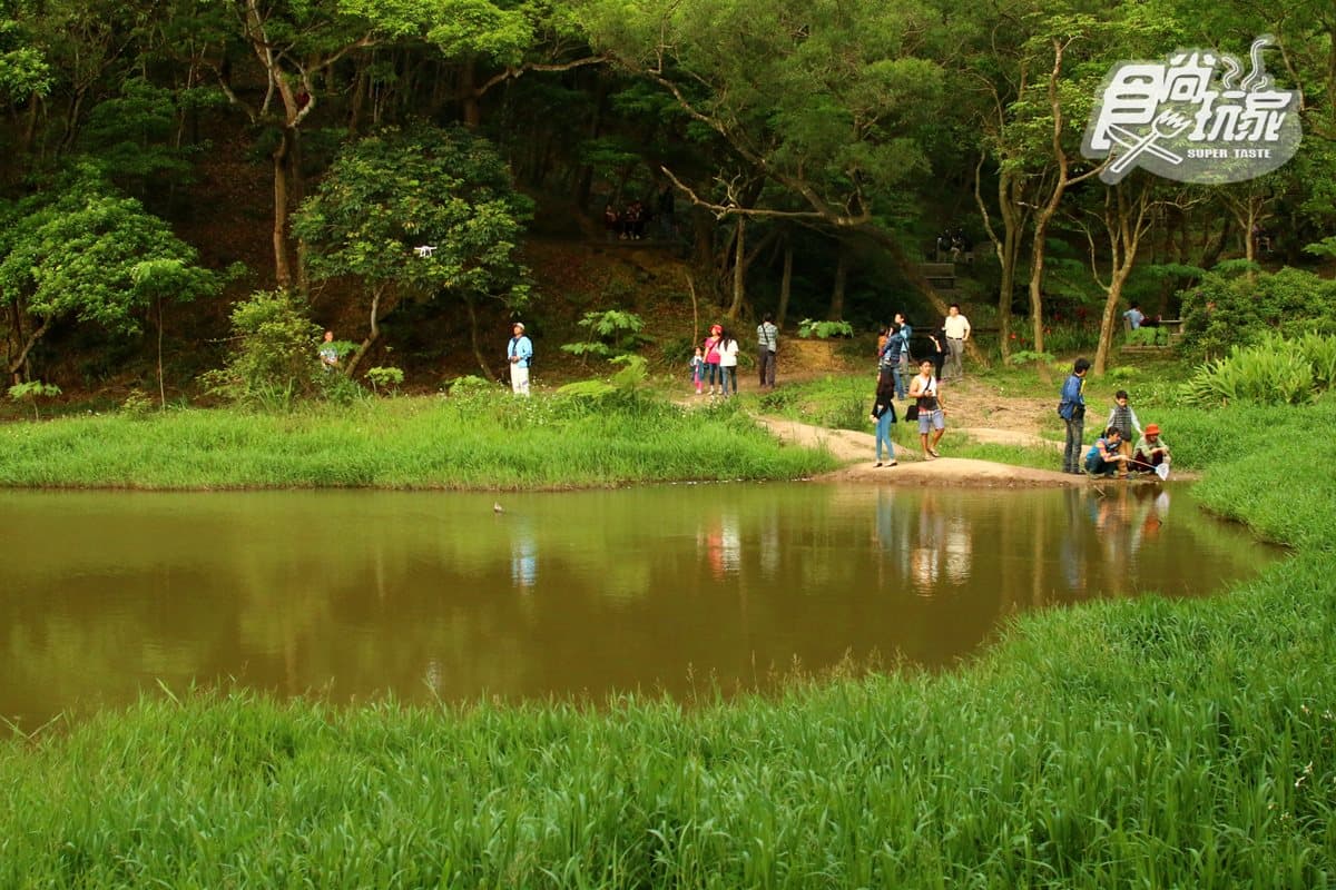 4月美拍步道2條快收藏！桐花、藍鵲、吊橋、祕境餐廳