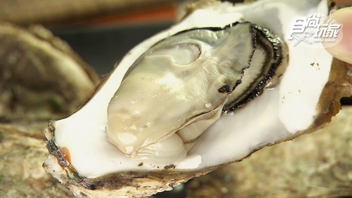 滴下來了啦!多汁超大顆烤生蠔是老闆家養的