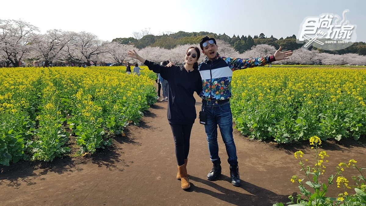 【節目預告】4/30〜5/3高雄姊妹淘美食、雲林人氣美味、北海岸吃好料拍MV、夢多宮崎圓夢之旅