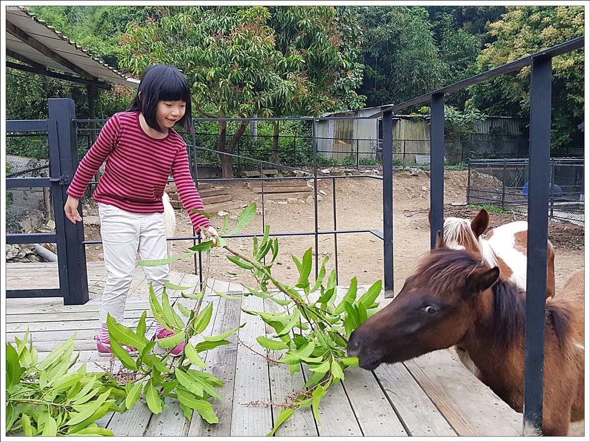 住進「神隱少女」民宿！被森林環繞的「時尚古宅」 還有房客獨賞螢火蟲