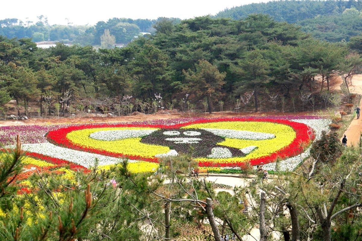 色彩滿到塞不下了!絕美「鬱金香花海慶典」好想立馬衝去 色彩滿到塞不下了!絕美「鬱金香花海慶典」好想立馬衝去