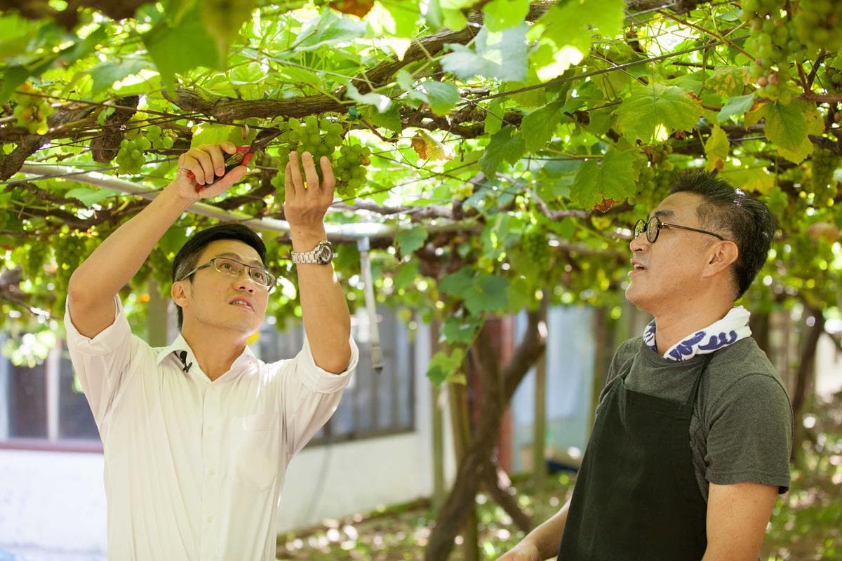 出國奪金牌!台灣代表太驚人,靠這支「后里」出生的夢幻款威士忌! 出國奪金牌!台灣代表太驚人,靠這支「后里」出生的夢幻款威士忌!