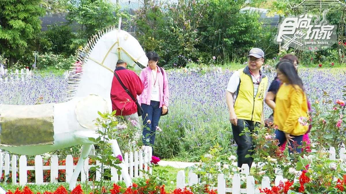 來這裡當花「吃」就對了！農場賞薰衣草吃花料理