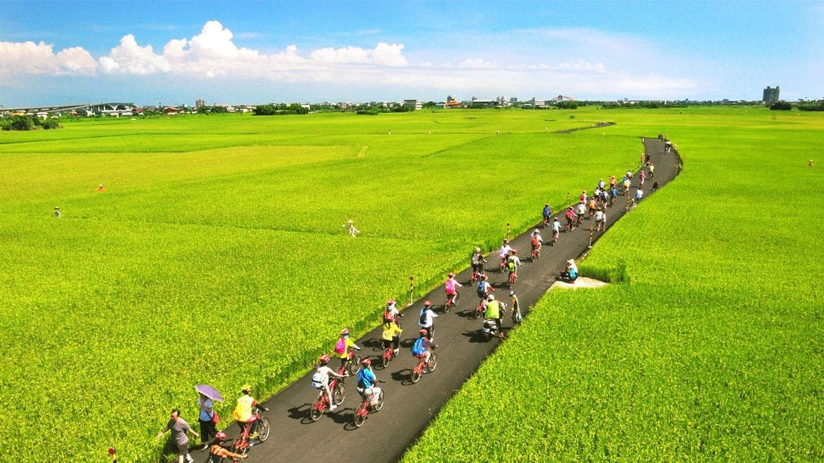 新景點奉上!宜蘭版「伯朗大道」超迷人金黃稻田,本周末就去! 新景點奉上!宜蘭版「伯朗大道」超迷人金黃稻田,本周末就去!