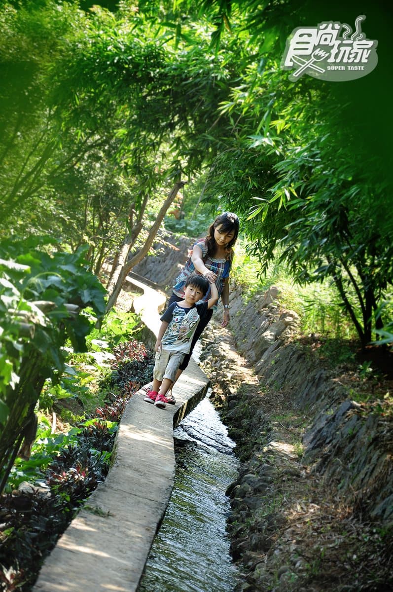 4條「超高負離子」親水步道推薦:台版九寨溝、150年竹林水圳古道、親子必玩環溪步道 坪頂古圳步道 泡圳水感受百年沁涼