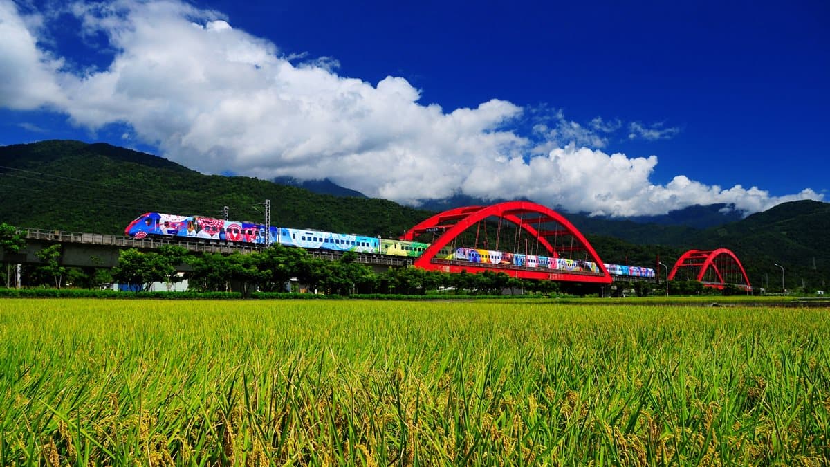 搭火車玩「花東最美角落」：美拍虹橋稻海、騎鐵馬跨秀姑巒溪、臭豆腐搭三寶