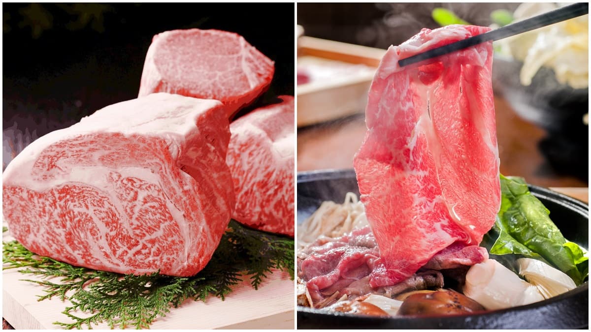 肉食系快揪伴！日本鹿兒島A5級和牛壽喜燒，兩人同行一人免費！
