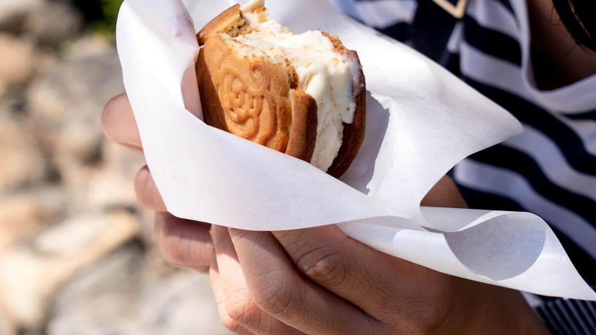 蜷尾家出新招！聯手舊振南出「綠豆椪雪餅」端午節限定！
