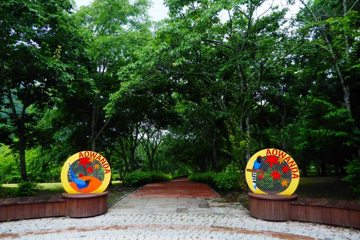 連2天門票10元→就在這座「台灣第二高負離子」國家公園！森林系朋友快規劃