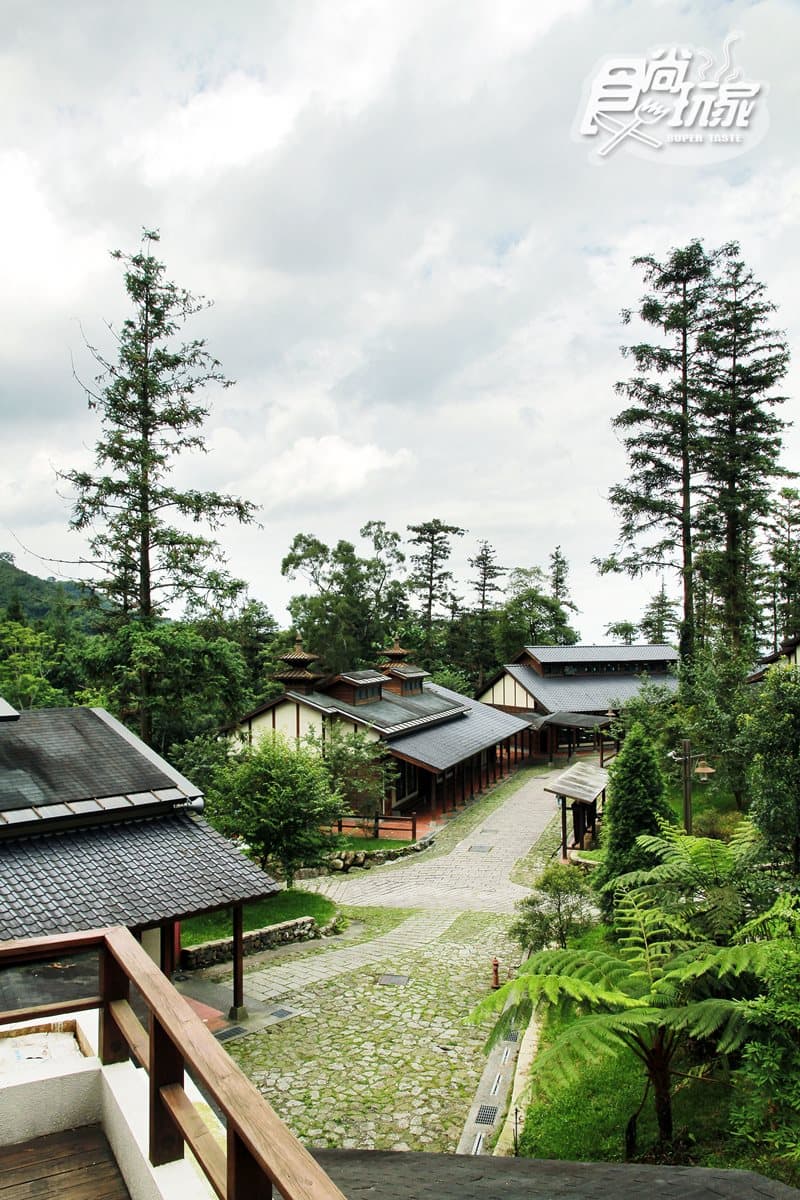 夏天網美衝這裡!南投5大消暑美拍祕境:台版九寨溝、2800歲神木林、竹林隧道 夏天網美衝這裡!南投5大消暑美拍祕境:台版九寨溝、2800歲神木林、竹林隧道