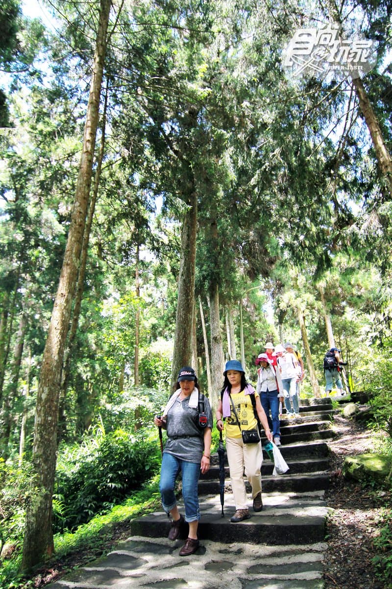 夏天網美衝這裡!南投5大消暑美拍祕境:台版九寨溝、2800歲神木林、竹林隧道 夏天網美衝這裡!南投5大消暑美拍祕境:台版九寨溝、2800歲神木林、竹林隧道