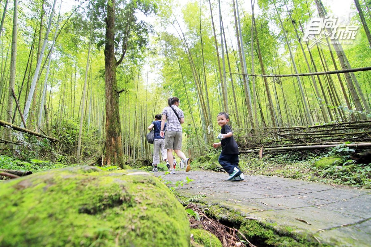 中秋連假衝這裡!全台10大涼感美拍地:洞穴瀑布SPA、雲海咖啡廳、金針花海 中秋連假衝這裡!全台10大涼感美拍地:洞穴瀑布SPA、雲海咖啡廳、金針花海