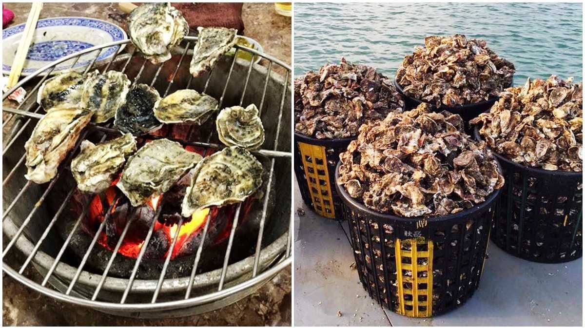 海鮮控凍未條！新鮮烤生蠔200元「吃到飽」超佛心，2人以上開爐快衝吧