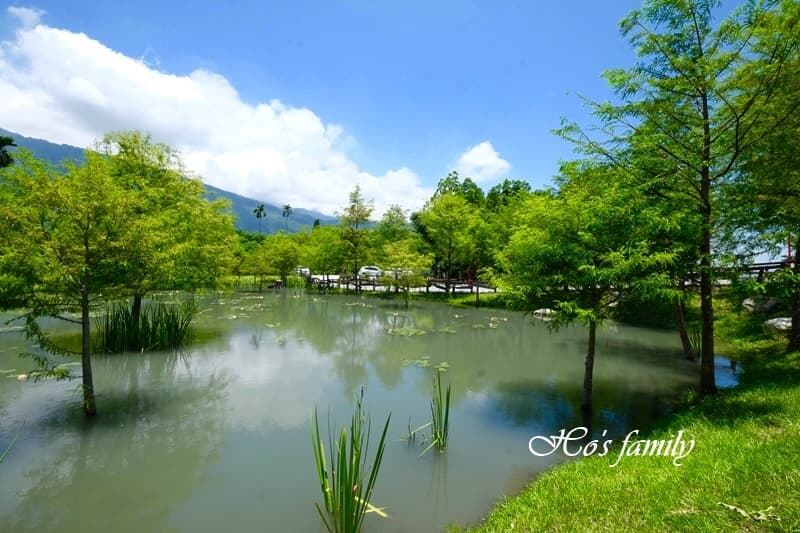 【新開店】讓你一秒到(魔戒)!這家花蓮咖啡館好像台灣版「精靈村」超好拍 【新開店】讓你一秒到(魔戒)!這家花蓮咖啡館好像台灣版「精靈村」超好拍