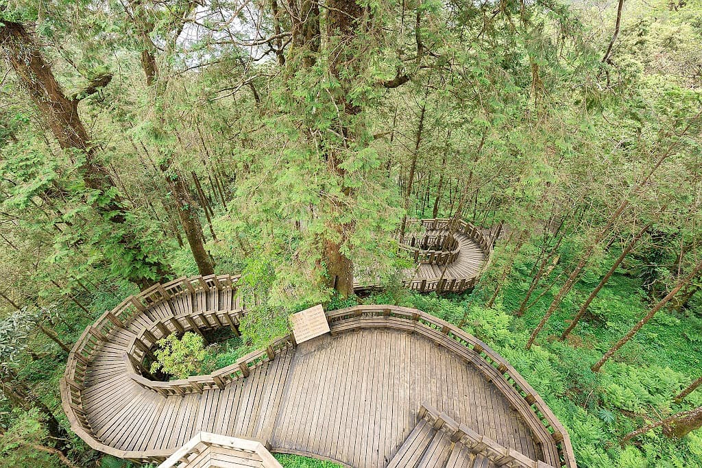 闖進馬告神木森林、與鯨同遊龜山島！飯店暑期特惠活動開跑