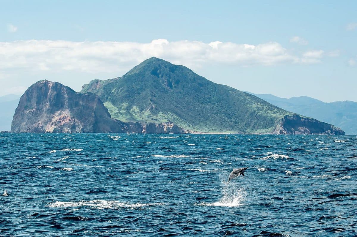 闖進馬告神木森林、與鯨同遊龜山島！飯店暑期特惠活動開跑