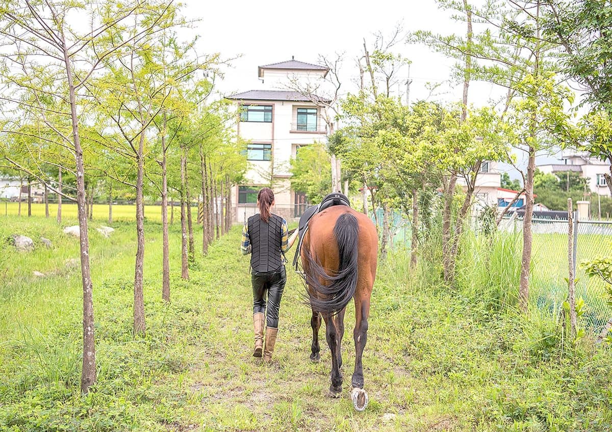 闖進馬告神木森林、與鯨同遊龜山島！飯店暑期特惠活動開跑