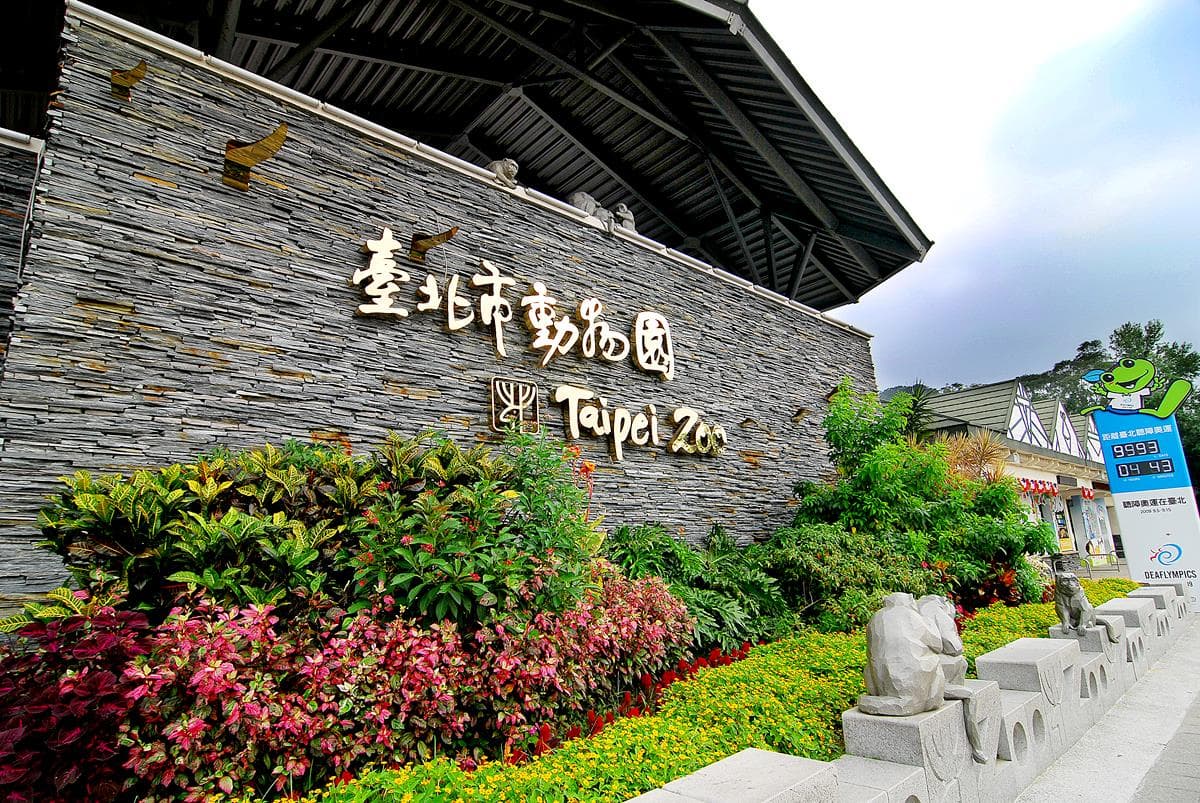 萌萌水豚君、樹懶來了!木柵動物園「熱帶雨林館」久等13年終於開幕 萌萌水豚君、樹懶來了!木柵動物園「熱帶雨林館」久等13年終於開幕