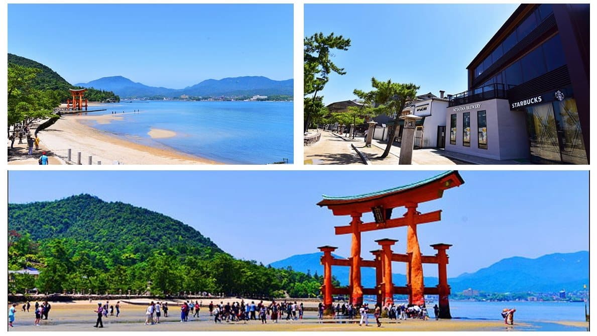 這間星巴克蓋在世界遺產旁！最美視角看「海上神社」→必買全球唯一「楓葉杯」