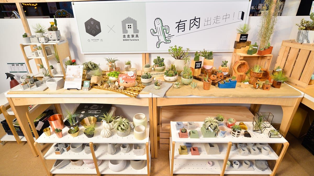  多肉粉絲注意！文青品牌「有肉」前進華山，開設快閃店
