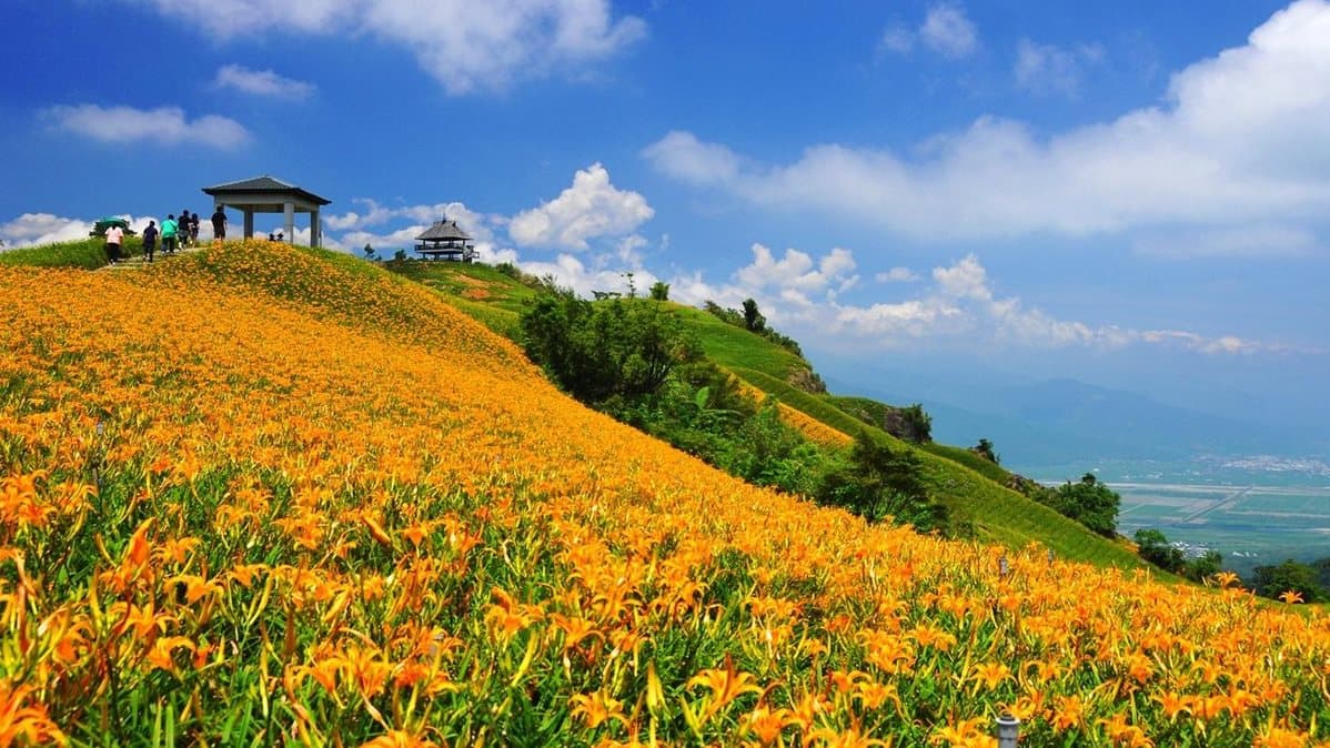 中秋連假衝這裡!全台10大涼感美拍地:洞穴瀑布SPA、雲海咖啡廳、金針花海 中秋連假衝這裡!全台10大涼感美拍地:洞穴瀑布SPA、雲海咖啡廳、金針花海