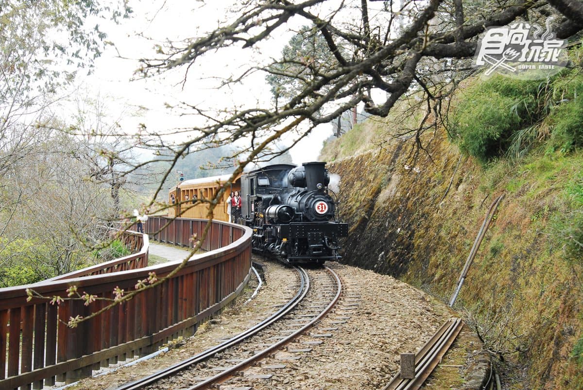 小火車復駛了!一次看遍「阿里山森鐵」亮點:千年光武檜神木、樹靈塔傳說、觀日原始步道 小火車復駛了!一次看遍「阿里山森鐵」亮點:千年光武檜神木、樹靈塔傳說、觀日原始步道