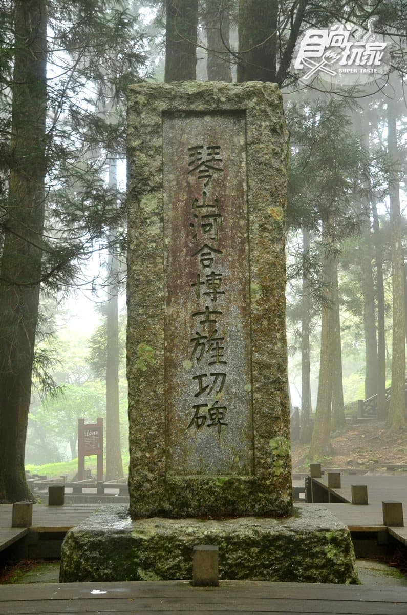 小火車復駛了!一次看遍「阿里山森鐵」亮點:千年光武檜神木、樹靈塔傳說、觀日原始步道 小火車復駛了!一次看遍「阿里山森鐵」亮點:千年光武檜神木、樹靈塔傳說、觀日原始步道