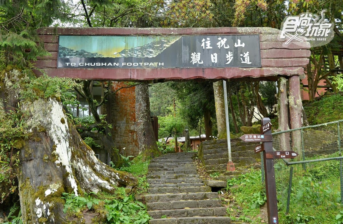 小火車復駛了!一次看遍「阿里山森鐵」亮點:千年光武檜神木、樹靈塔傳說、觀日原始步道 小火車復駛了!一次看遍「阿里山森鐵」亮點:千年光武檜神木、樹靈塔傳說、觀日原始步道