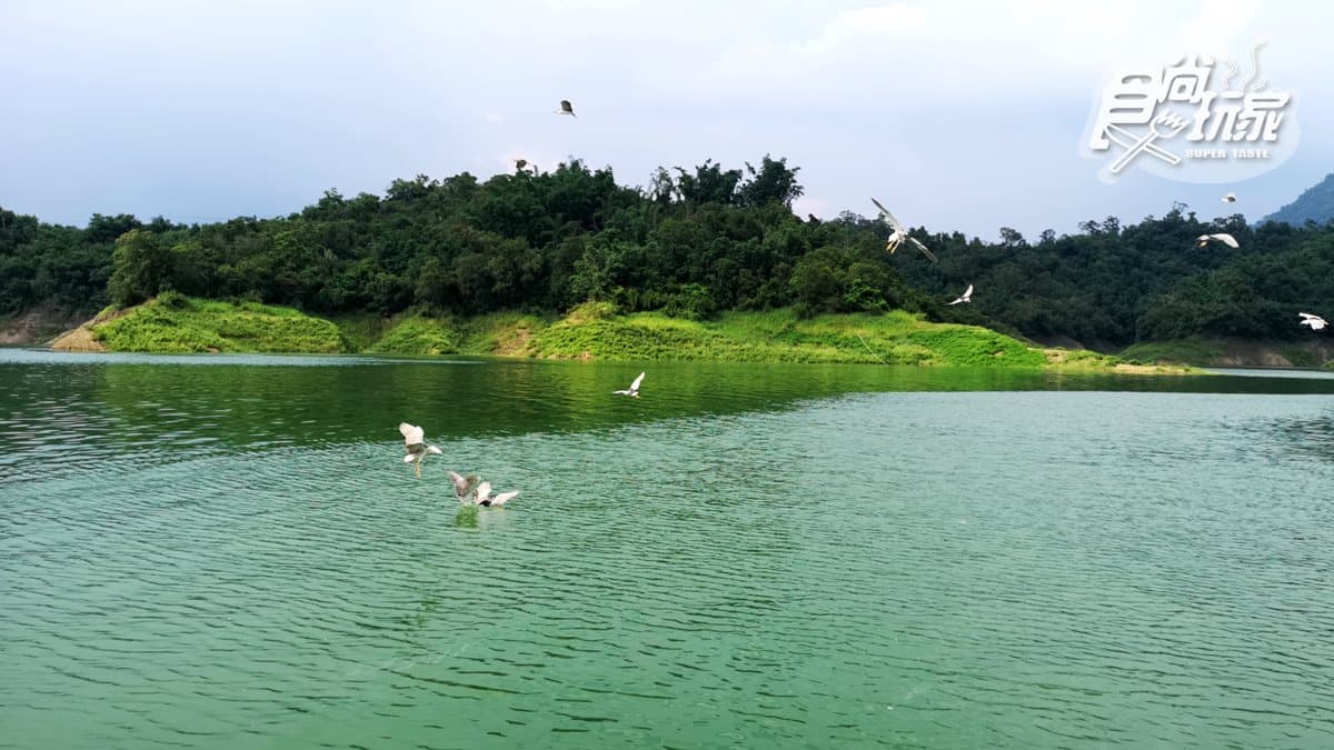野豬騎士來了!秘境「野生版」日月潭 → 勇闖山豬島、超酷餵鷹秀、絕美景觀塔 野豬騎士來了!秘境「野生版」日月潭 → 勇闖山豬島、超酷餵鷹秀、絕美景觀塔