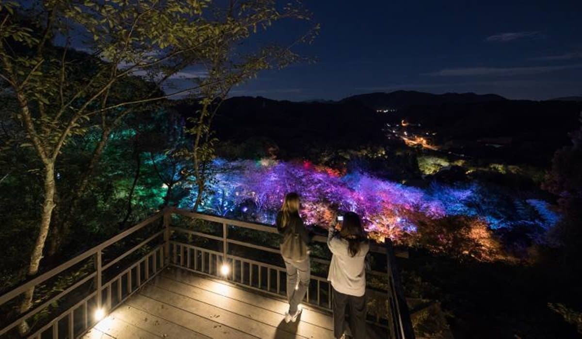 夏夜最美這一景!像走進宮崎駿動畫 18種「奇幻燈海」 IG美拍快衝 夏夜最美這一景!像走進宮崎駿動畫 18種「奇幻燈海」 IG美拍快衝