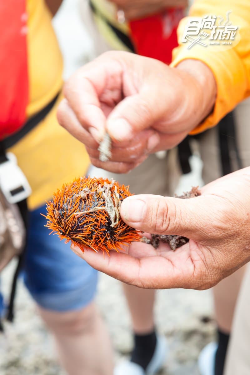換個方式玩澎湖！勇闖無人島5體驗：活龍灘賞珍禽、「金庫」撈魚、觀百褶裙奇岩