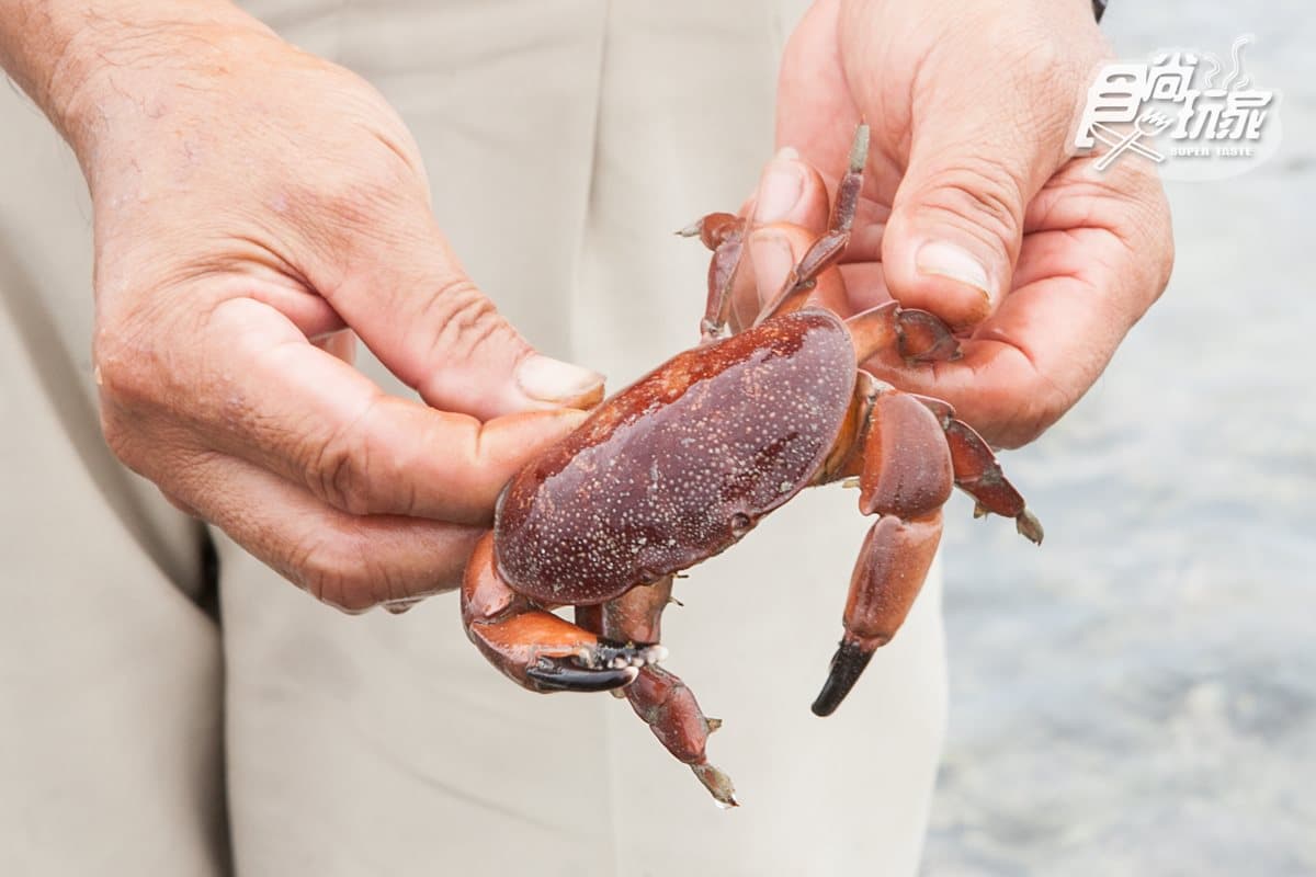換個方式玩澎湖！勇闖無人島5體驗：活龍灘賞珍禽、「金庫」撈魚、觀百褶裙奇岩