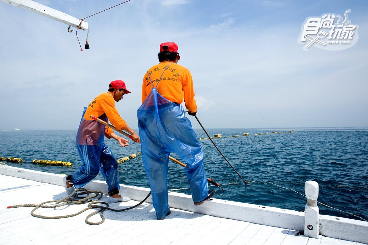 換個方式玩澎湖！勇闖無人島5體驗：活龍灘賞珍禽、「金庫」撈魚、觀百褶裙奇岩