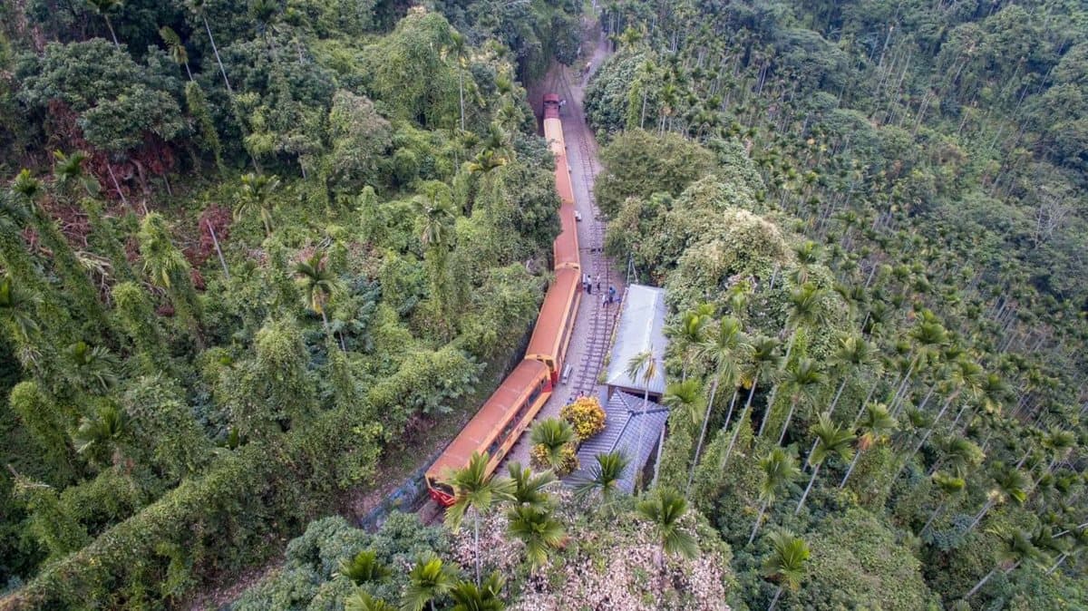 阿里山小火車推七夕「珍愛之旅」，欣賞阿里山自然美景、吃當地風味餐、逛懷舊老街