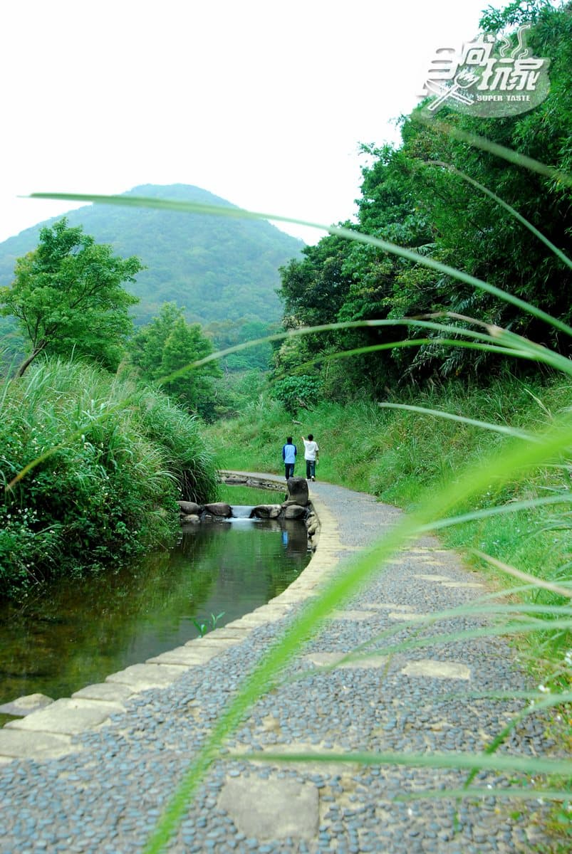 內科人消暑後花園！瀑布溪水親子步道+順遊4亮點：「龍骨」吊橋、台北百萬夜景觀景台、女生最愛酥餅