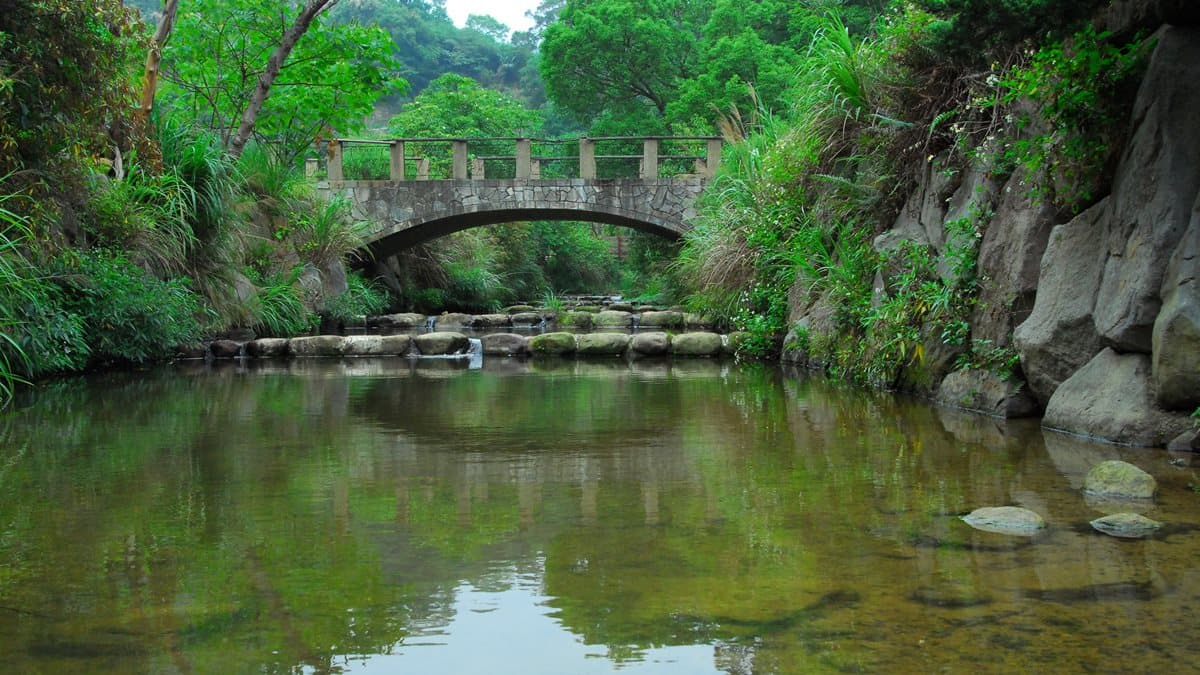 內科人消暑後花園！瀑布溪水親子步道+順遊4亮點：「龍骨」吊橋、台北百萬夜景觀景台、女生最愛酥餅