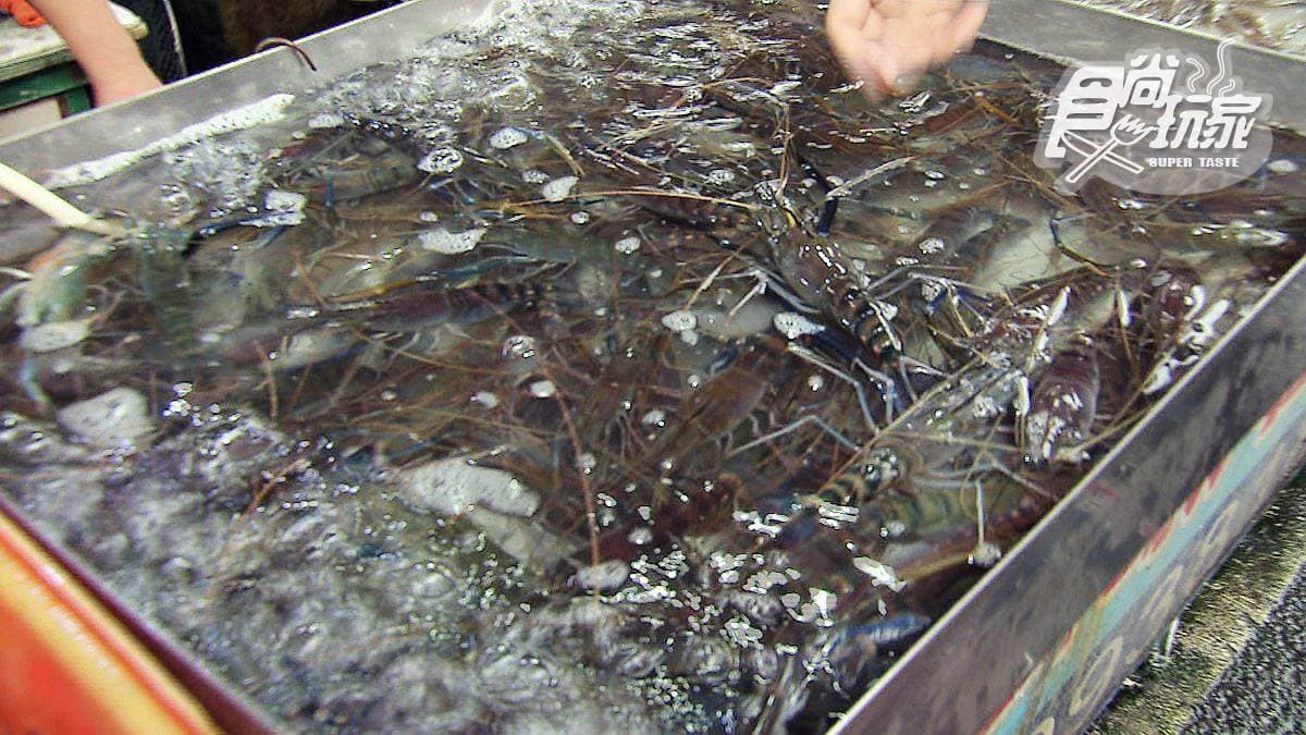 漁港香噴噴現炸海鮮 100元炸烏魚子不吃對不起自己