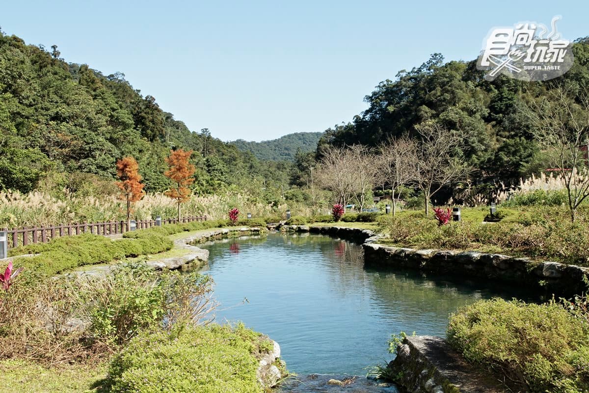 雙十連假遛小孩！搭免費公車玩坪林4亮點：史前蕨類步道、親水公園、茶餐小吃