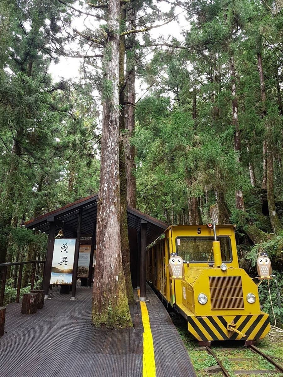 鐵道迷走囉！宜蘭「太平山蹦蹦」睽違6年復駛，重新復航9月底前搭5折優惠！