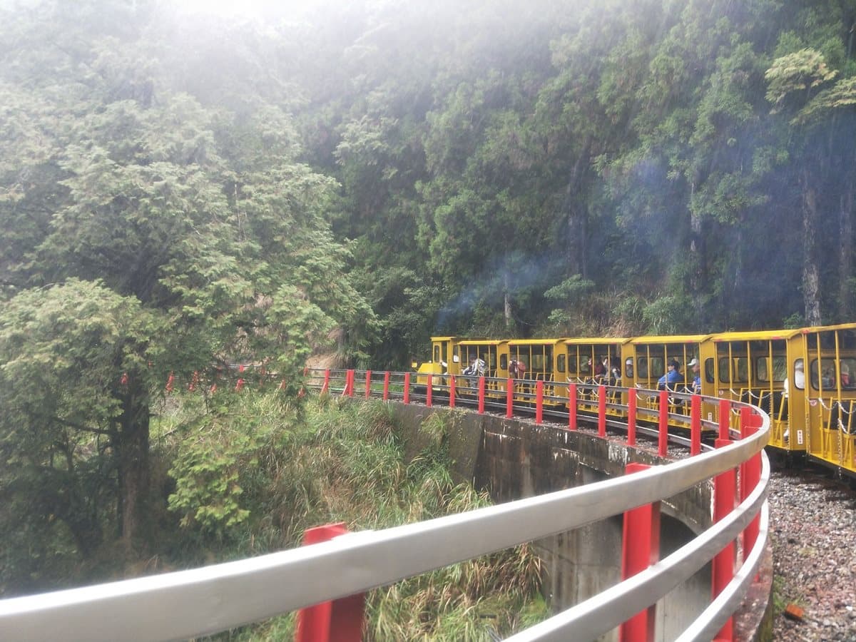 太平山蹦蹦車回來了！相隔半年7/10全線通車，不想排隊要挑「這時間」去
