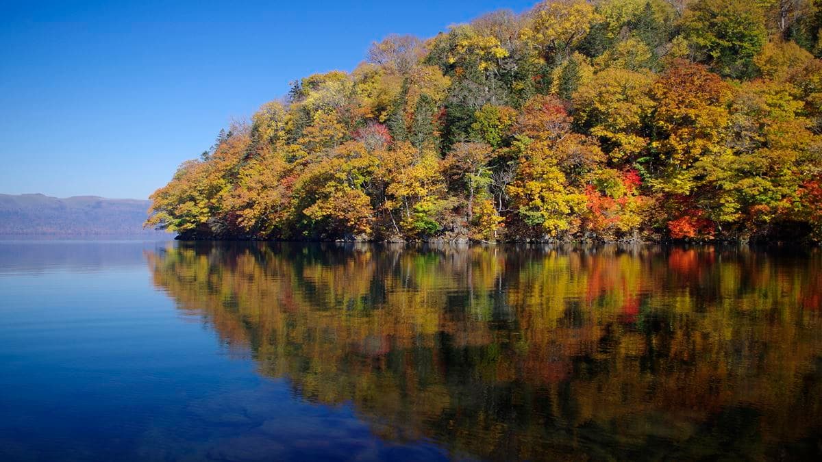 日本政府出錢送你玩北海道!最多5晚住宿3折 秋天賞楓、露營車自駕剛剛好 日本政府出錢送你玩北海道!最多5晚住宿3折 秋天賞楓、露營車自駕剛剛好