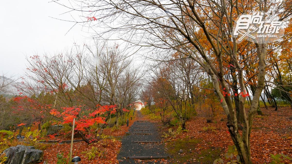 是時候去日本「沙漠」打卡了!1000日圓暢遊鳥取6大景點 是時候去日本「沙漠」打卡了!1000日圓暢遊鳥取6大景點