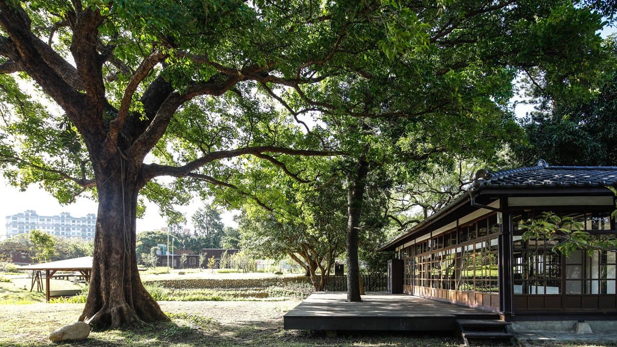 濃濃日式風情!新竹百年公園重新開放,必拍「日式水池園林」與「櫻花大道」