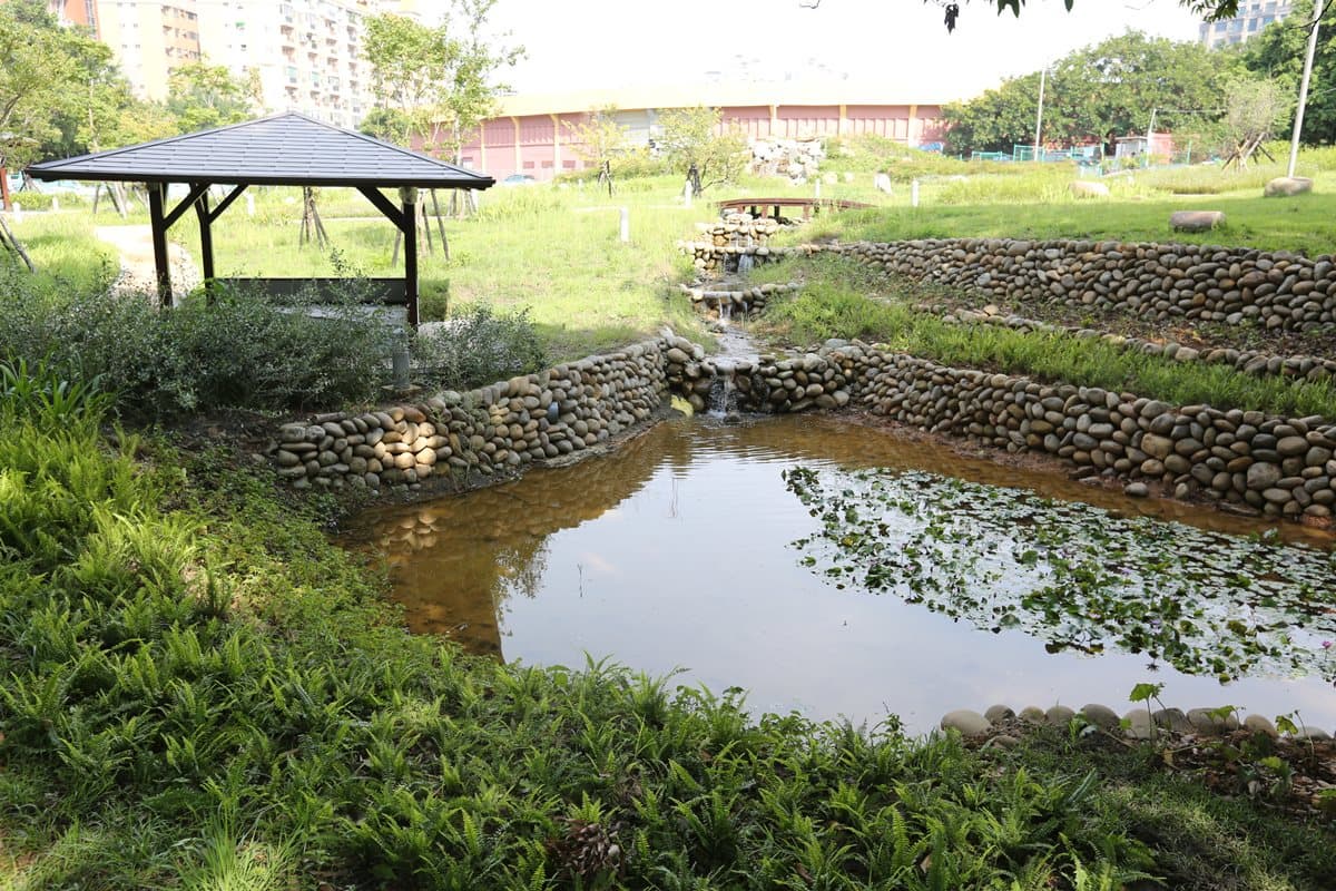 濃濃日式風情!新竹百年公園重新開放,必拍「日式水池園林」與「櫻花大道」 濃濃日式風情!新竹百年公園重新開放,必拍「日式水池園林」與「櫻花大道」